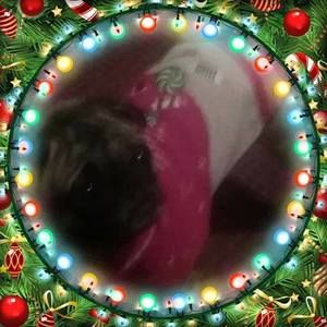 Meet your Posher, Deb